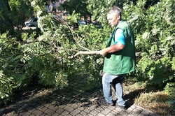 В Одессе восстанавливают повреждения от вчерашнего урагана (ФОТО)