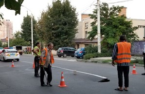 В Одессе третий раз за три года проваливается земля по улице Львовской