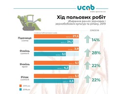 Урожай зерновых в Украине бьет рекорды