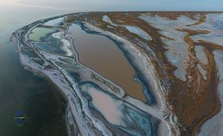 В национальном парке "Тузловские лиманы" пересыхают водоемы (ФОТО)