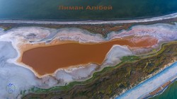 В национальном парке "Тузловские лиманы" пересыхают водоемы (ФОТО)