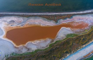 В национальном парке "Тузловские лиманы" пересыхают водоемы (ФОТО)