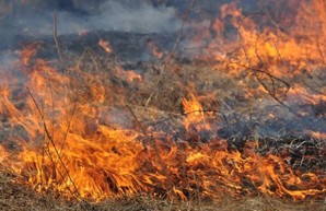 Из-за масштабного пожара в Лиманском районе Одесской области чуть не загорелась электричка