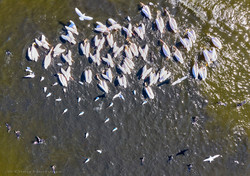 Одесский фотограф показал с высоты птичьего полета потрясающую красоту Дуная (ФОТО)