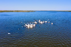 Одесский фотограф показал с высоты птичьего полета потрясающую красоту Дуная (ФОТО)