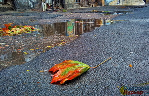 В Одессе началась настоящая дождливая осень (ФОТО)