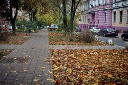 Красивая золотая осень в Одессе (ФОТО)