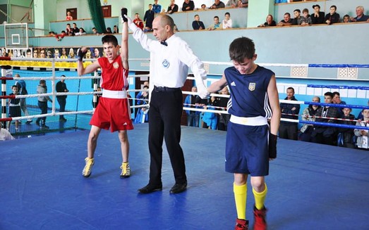 Школьники Одесской области завоевали на чемпионате Украины по боксу 15 медалей