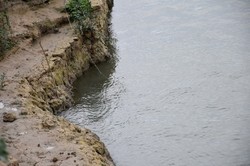 На Дунае около Измаила реконструируют защитную дамбу (ФОТО)