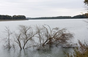 На Дунае около Измаила реконструируют защитную дамбу (ФОТО)