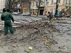 В Одессе бушует непогода: ветер валит деревья