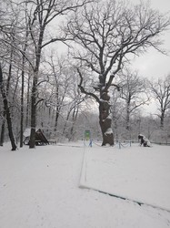 В Одесской области выпал первый снег (ФОТО)