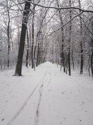 В Одесской области выпал первый снег (ФОТО)