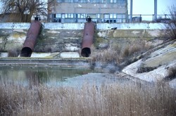 В Одесской области обсуждали возрождение умирающего озера Сасык