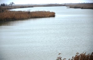 В Одесской области обсуждали возрождение умирающего озера Сасык