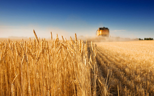Украина в 2019-м установила рекорд по экспорту аграрной продукции