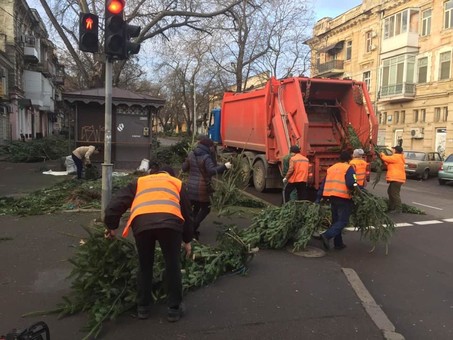 В Одессе ликвидировали кладбища елок