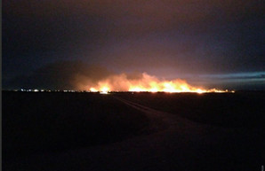 Огонь охватил 4,5 гектара в Одессе
