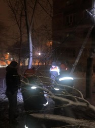 На Одессу обрушились ураган со снегопадом (ФОТО, ВИДЕО)