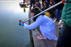 Реки Одесской области переживают кризисный период "низкой водности" (ФОТО)