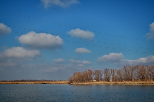 Реки Одесской области переживают кризисный период "низкой водности" (ФОТО)