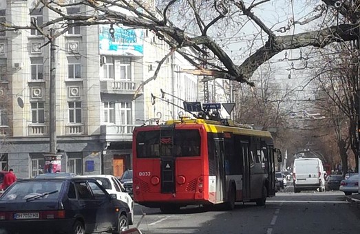 Из-за упавших деревьев в Одессе остановились трамваи маршрутов № 3 и 28