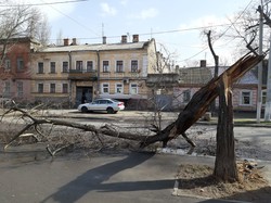 Ураганный ветер валит деревья в Одессе: погибла женщина (обновляется)