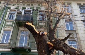 Без света остались 224 населенных пункта Одесской области
