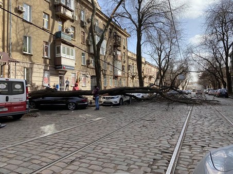 Итоги урагана в Одессе
