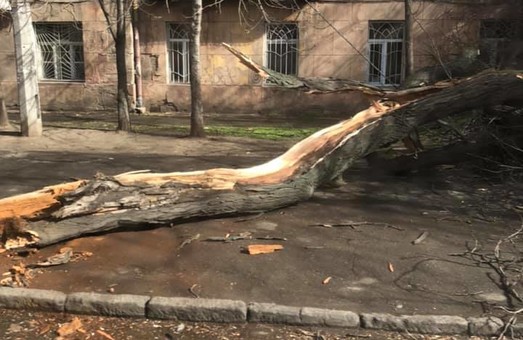 В Одессе снова ожидают ветер ураганной силы