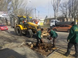 Для того, чтоб обеспечить работу городского транспорта, коммунальщики в Одессе убрали почти 200 упавших деревьев