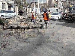 Для того, чтоб обеспечить работу городского транспорта, коммунальщики в Одессе убрали почти 200 упавших деревьев