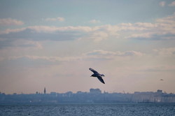 Спокойное море в Одессе перед ураганом (ФОТО)
