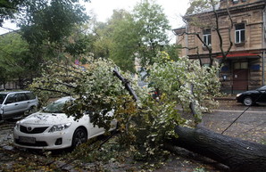 В Одессе ожидают циклон с ураганным ветром