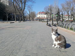 Карантин в Одессе: день третий (ФОТО)