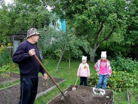 Попом кверху или простыми словами о рынке земли