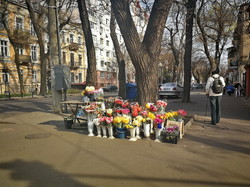 Апрельская Одесса на карантине: цветущий город и пустые улицы (ФОТО)