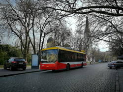 Апрельская Одесса на карантине: цветущий город и пустые улицы (ФОТО)