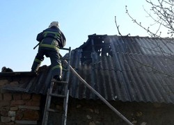 В Одесской области жертвами пожара стали домашние животные и птицы