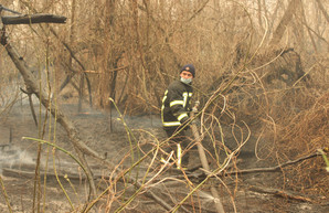 К тушению лесных пожаров в Чернобыльской зоне привлечены одесские спасатели