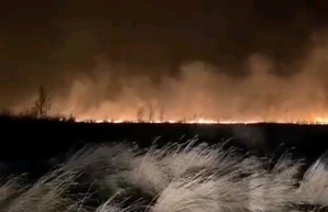Россия горит не только от коронавируса: лесные пожары вернулись с небывалым размахом
