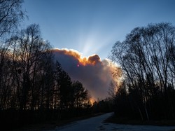 Как горел лес в Чернобыльской зоне (ФОТО)