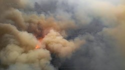 Как горел лес в Чернобыльской зоне (ФОТО)