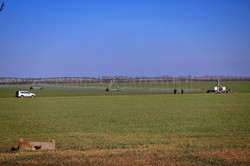 На юге Одесской области будет большой неурожай: засуха уничтожает поля (ФОТО, ВИДЕО)