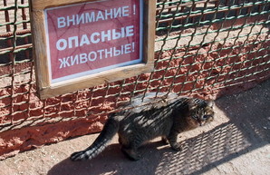 В Одессе открывают зоопарк после карантина