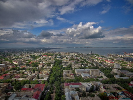 Одесские "слуги народа" готовятся к выборам