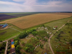 Как в Одесской области степной заповедник заселяют дикими животными (ФОТО, ВИДЕО)