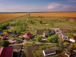 Как в Одесской области степной заповедник заселяют дикими животными (ФОТО, ВИДЕО)