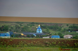 Как в Одесской области степной заповедник заселяют дикими животными (ФОТО, ВИДЕО)