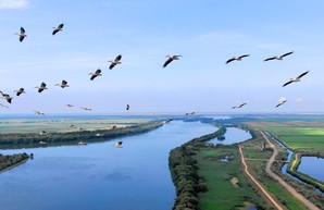 Полет с розовыми пеликанами над дельтой Дуная (ФОТО, ВИДЕО)